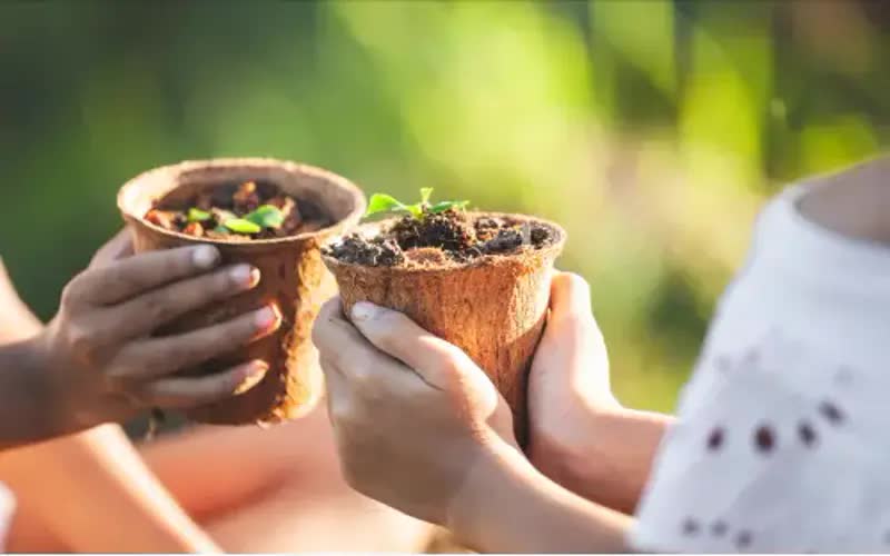 Two girls exchanging pots with small green plants