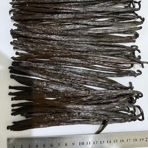 display of vanilla beans with a ruler to show their length
