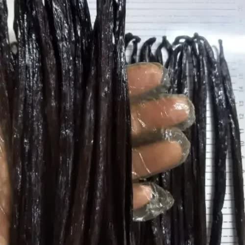 worker showing vanilla beans in her hands